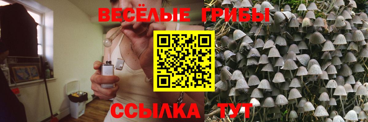 Псилоцибиновые грибы Magic Shrooms Муром