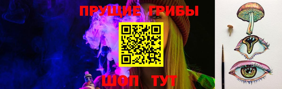 Муром  Псилоцибиновые грибы MAGIC MUSHROOMS  Вход с VPN 