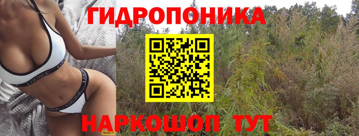 Марихуана сатива Муром